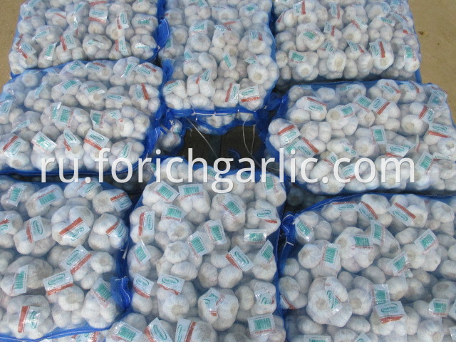 400g25bags